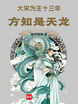  大宋为王十三年，方知是天龙