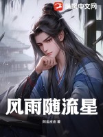  风雨随流星