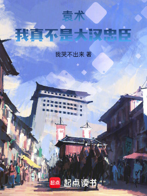  袁术：我真不是大汉忠臣