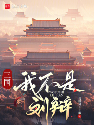  三国：我不是刘辩