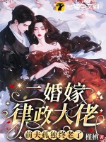  二婚嫁律政大佬，前夫孤独终老了