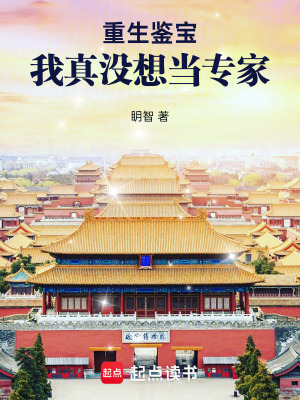  重生鉴宝：我真没想当专家