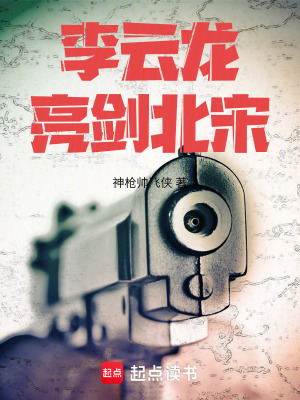  李云龙亮剑北宋