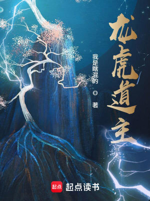  龙虎道主