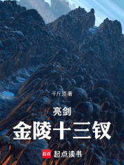  亮剑金陵十三钗