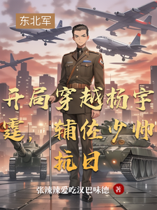  开局穿越杨宇霆，辅佐少帅抗日