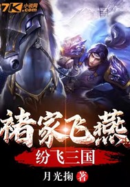  褚家飞燕纷飞三国