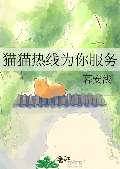  猫猫热线为你服务