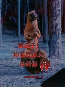  黄皮子！你看我像人还是像神？