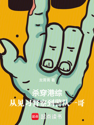  杀穿港综：从见习督察到警队一哥