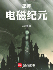  巫师：电磁纪元