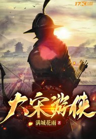  大宋游侠