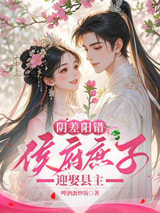  阴差阳错，侯府庶子迎娶县主