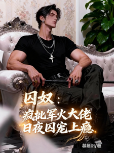  囚奴：疯批军火大佬日夜囚宠上瘾