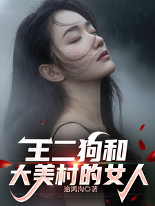  王二狗和大美村的女人