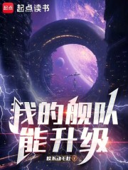  我的舰队能升级