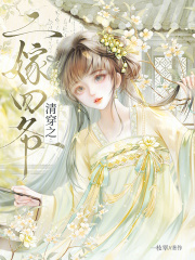  清穿之二嫁四爷