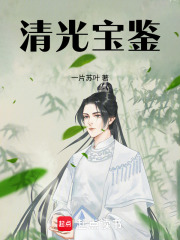  清光宝鉴