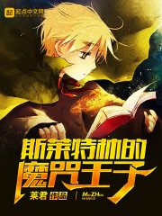  斯莱特林的魔咒王子