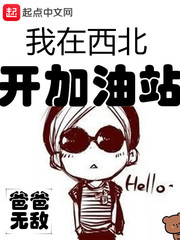  我在西北开加油站