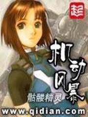  机动风暴