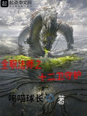  全职法师之十二卫守护