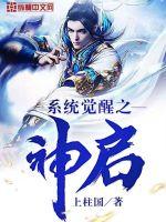  系统觉醒之神启