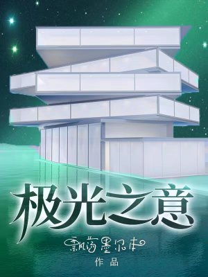  极光之意