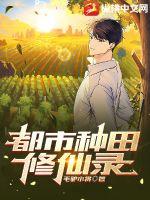  都市种田修仙录