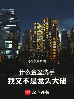  什么金盆洗手，我又不是龙头大佬